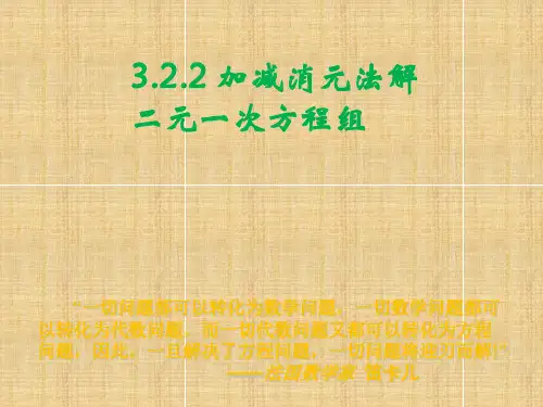 用加减消元法解二元一次方程组公开课精编版