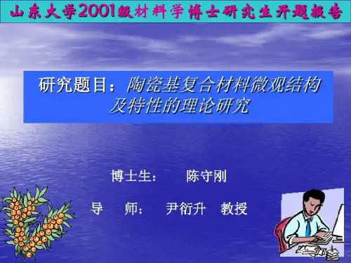 山东大学材料学博士开题报告全解26页PPT