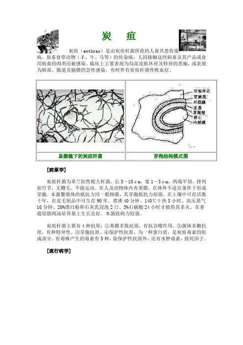 炭蛆病