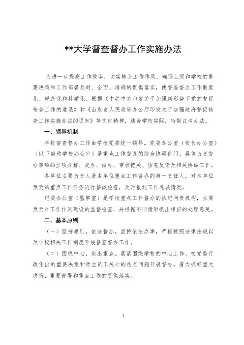 某某大学督查督办工作实施办法