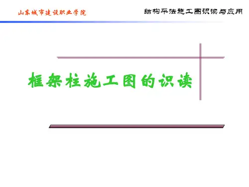 柱-建筑结构平法施工图识读ppt课件