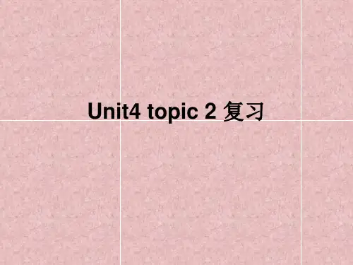 仁爱版九年级英语Unit4Topic2复习--