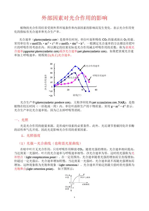 外部因素对光合作用的影响(精)