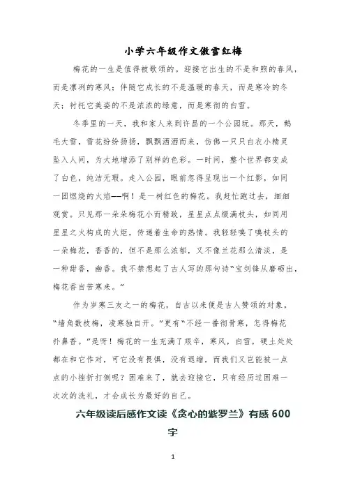 小学六年级作文傲雪红梅