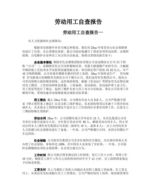 劳动用工自查报告