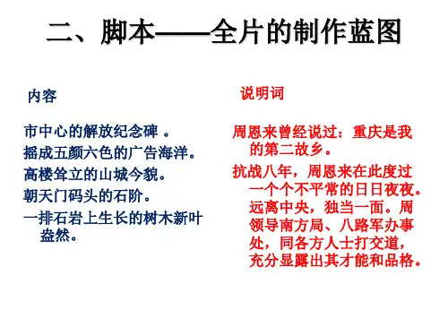 脚本制作PPT