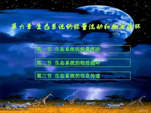 第六章 生态系统的能量流动