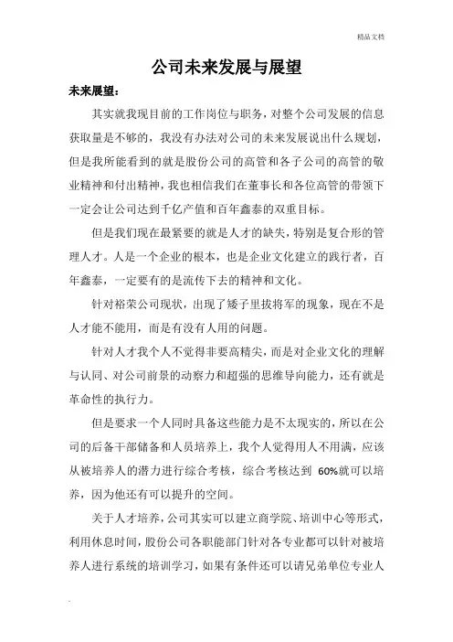 公司未来发展与展望