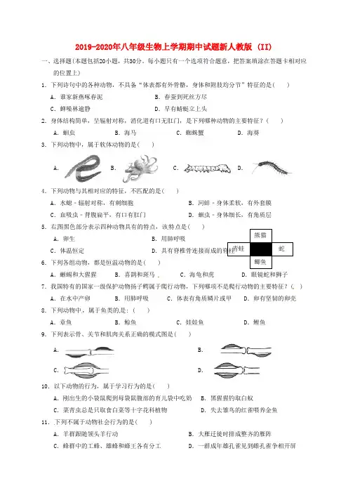 2019-2020年八年级生物上学期期中试题新人教版 (II)