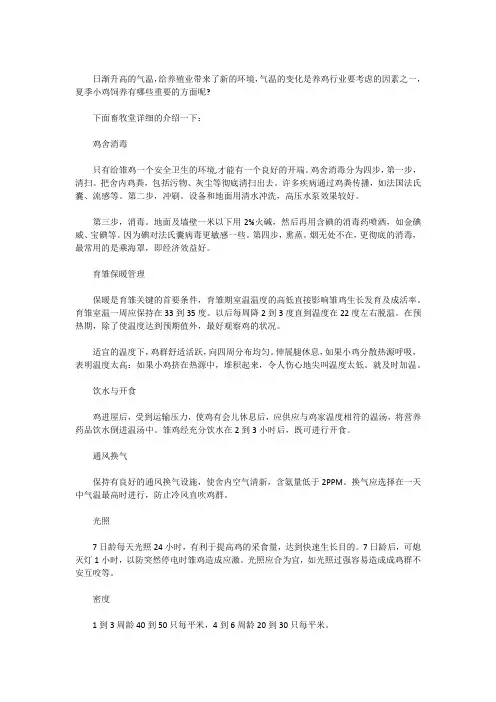 夏季小鸡饲养要点有哪些？