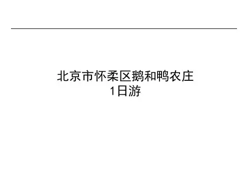 自驾游策划案