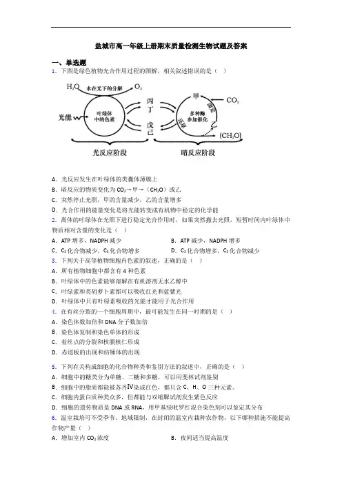 盐城市高一年级上册期末质量检测生物试题及答案