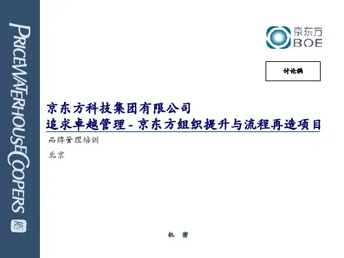PWC-京东方品牌战略培训