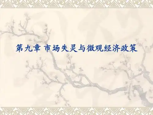 第八章 市场失灵与微观经济政策1217