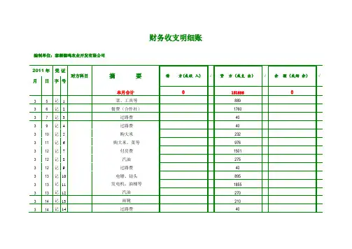 财务收支明细账