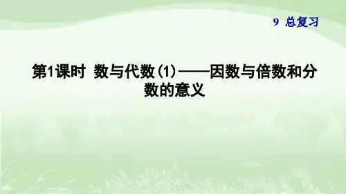 人教版五年级数学下册期末总复习习题课件