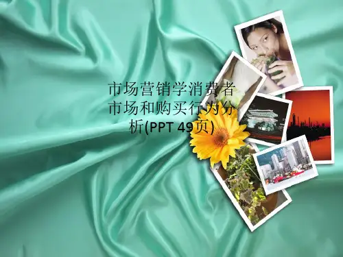 市场营销学消费者市场和购买行为分析(PPT 49页)