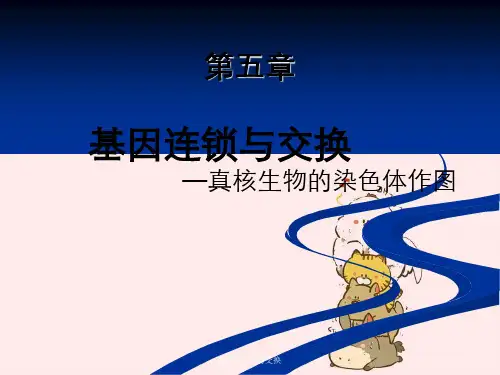 第5章连锁与交换