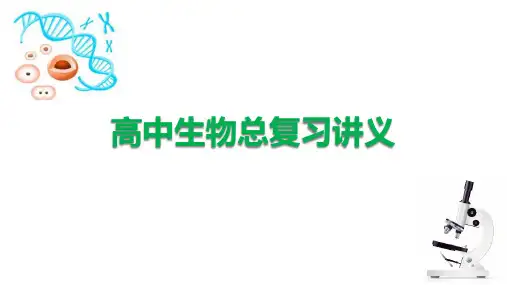 总复习讲义课件：第5章 细胞的能量供应和利用