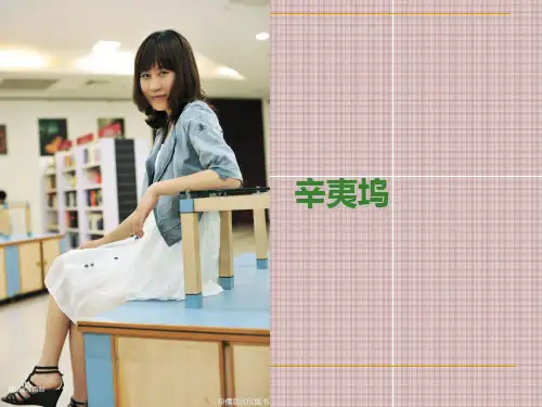 辛夷坞 致青春