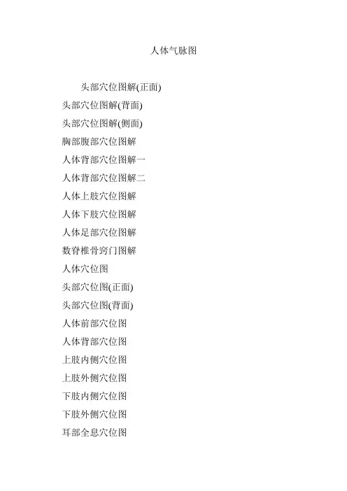 人体气脉图