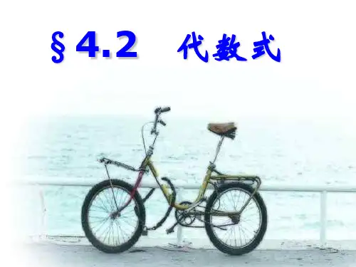 代数式PPT课件