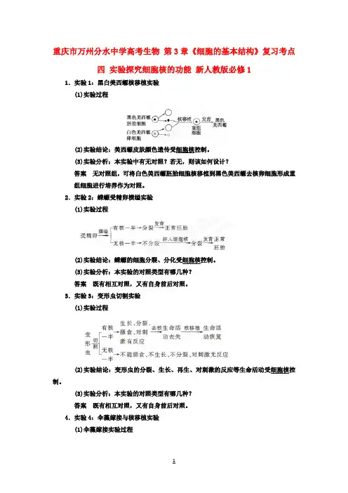 高考生物 第3章《细胞的基本结构》复习考点四 实验探究细胞核的功能 新人教版必修1