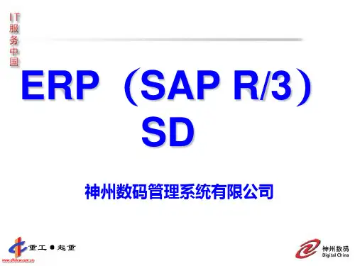 最权威经典的SAP SD入门培训教程  9其它