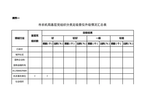 党员分类定级表格