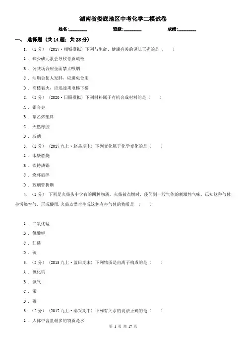 湖南省娄底地区中考化学二模试卷