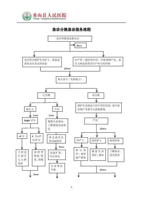 急诊分娩急诊服务流程(最新) 2