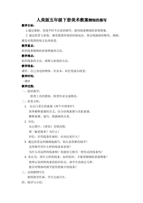 人美版五年级下册美术教案精细的描写