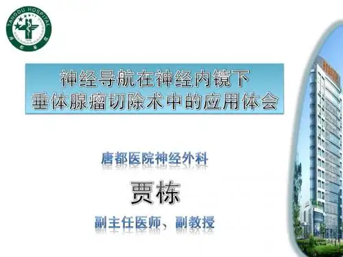 神经导航在神经内镜下垂体腺瘤切除术中的应用体会