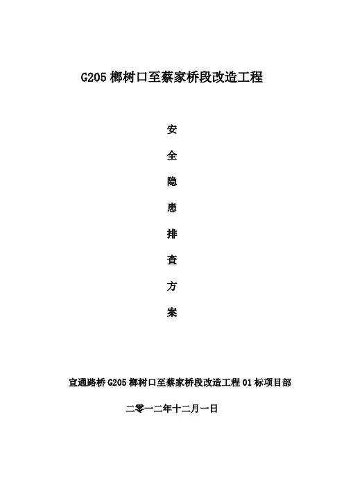 安全生产隐患排查工作方案