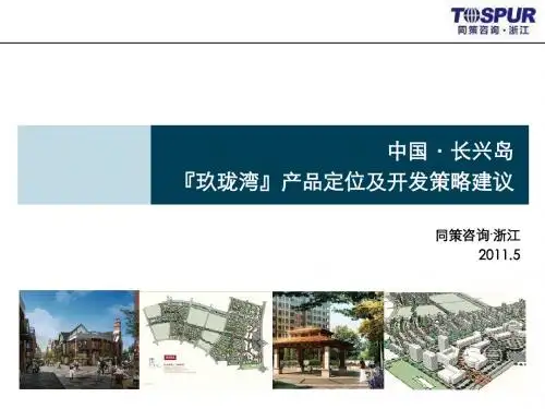同策2019年5月中国·长兴岛『玖珑湾』产品定位及开发的策略建议97页-PPT精选文档