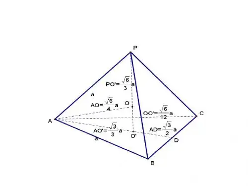 高一数学平面的基本性质1