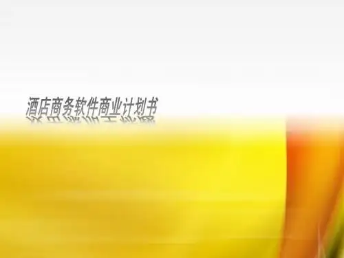 软件商务计划书