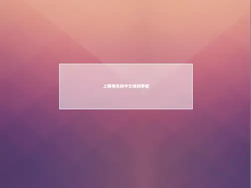 上海有名的中文培训学校
