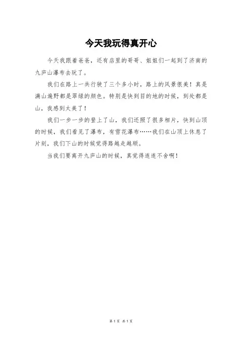 今天我玩得真开心_二年级作文