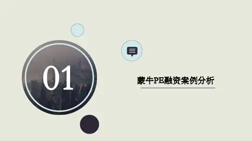 蒙牛PE融资案例分析