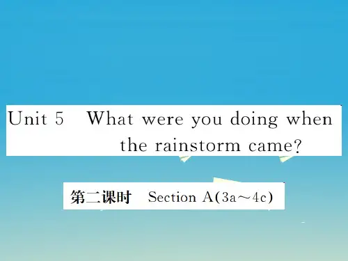 (河北专)八级英语下册Unit5Whatwereyoudoingwhentherainstormcame(第2课时)(新)人教新目标