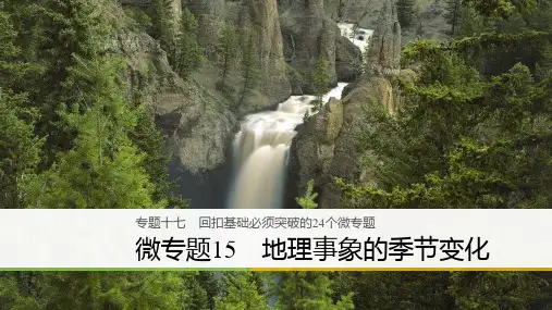 高考地理二轮知识专题复习课件：专题十七 回扣基础必须突破的24个微专题 微专题15