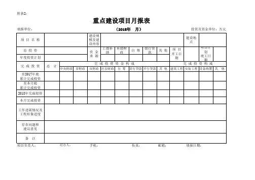重点项目月报表