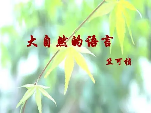 新 大自然的语言