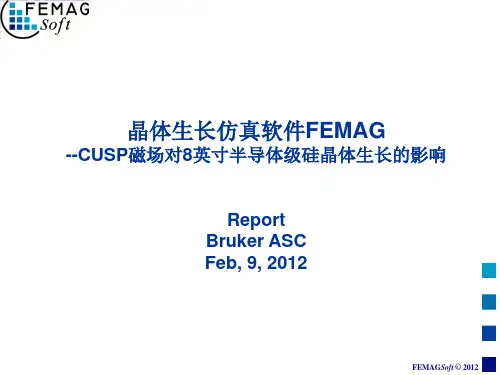 晶体生长仿真软件FEMAGCUSP磁场对8英寸半导体级硅晶体生长影响
