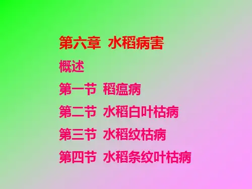 水稻病害案例