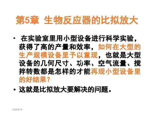 第五章生化反应器的比拟放大PPT课件