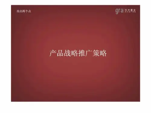 2019年桂林宝盈地王项目市场战略规划下