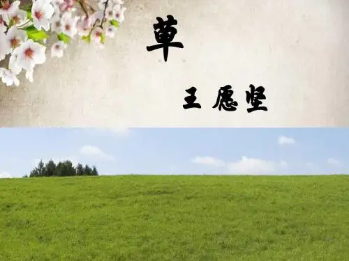 王愿坚草