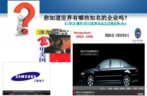 政治经济与社会第二课课件